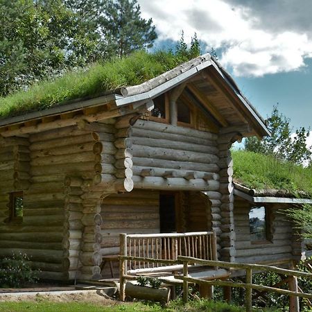 La Cabane De Hans Saint-Martial-de-Gimel Экстерьер фото
