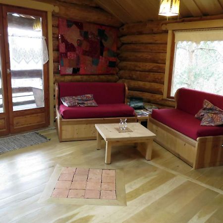 La Cabane De Hans Saint-Martial-de-Gimel Экстерьер фото
