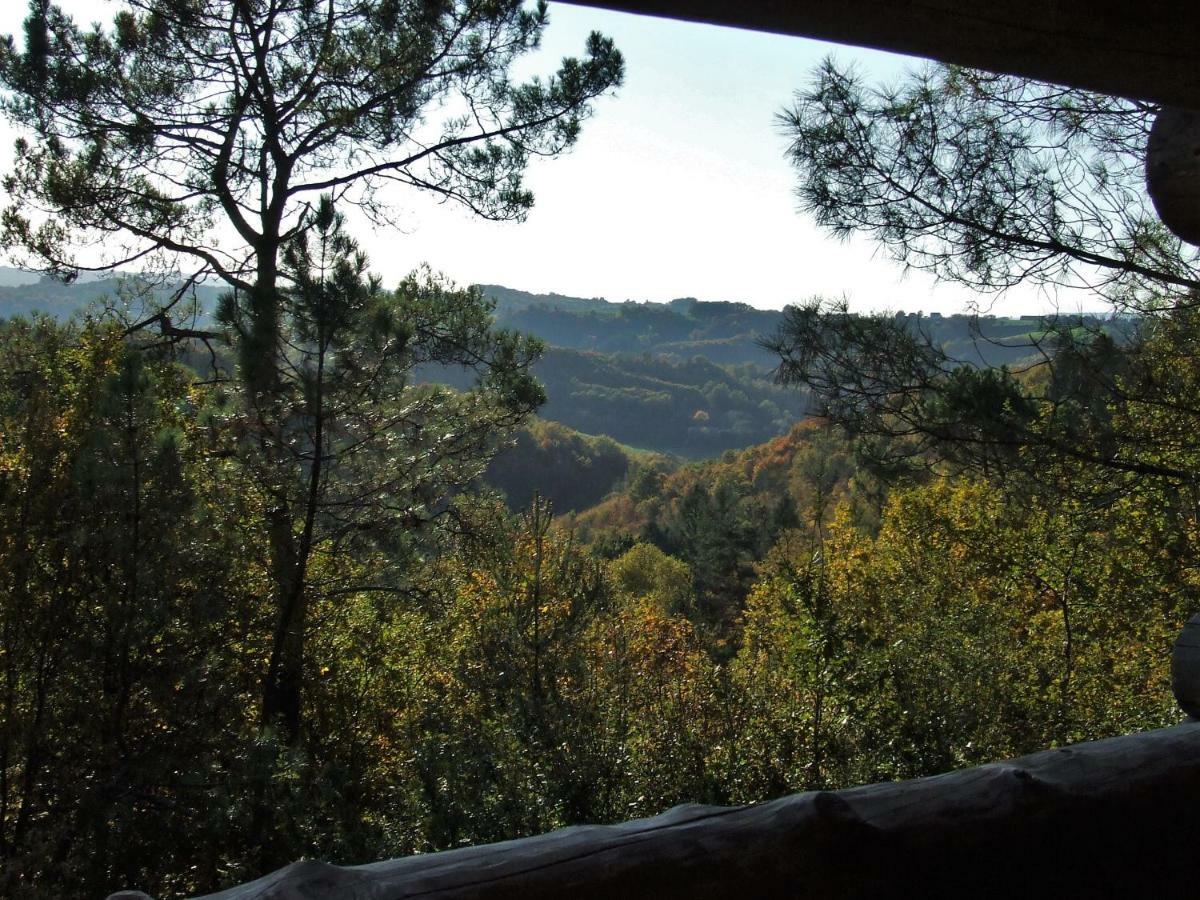 La Cabane De Hans Saint-Martial-de-Gimel Экстерьер фото